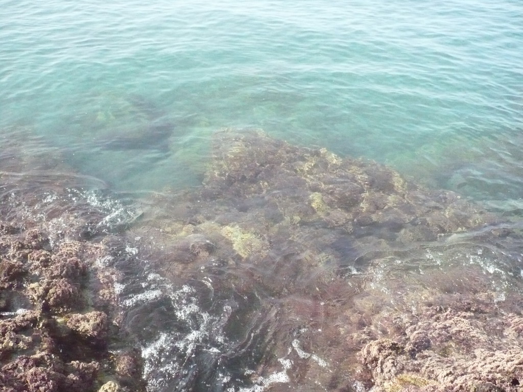 Море Эль Пало