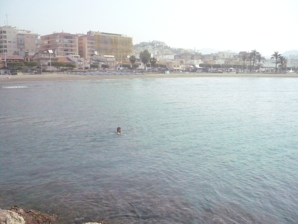Я плаваю в море Эль Пало