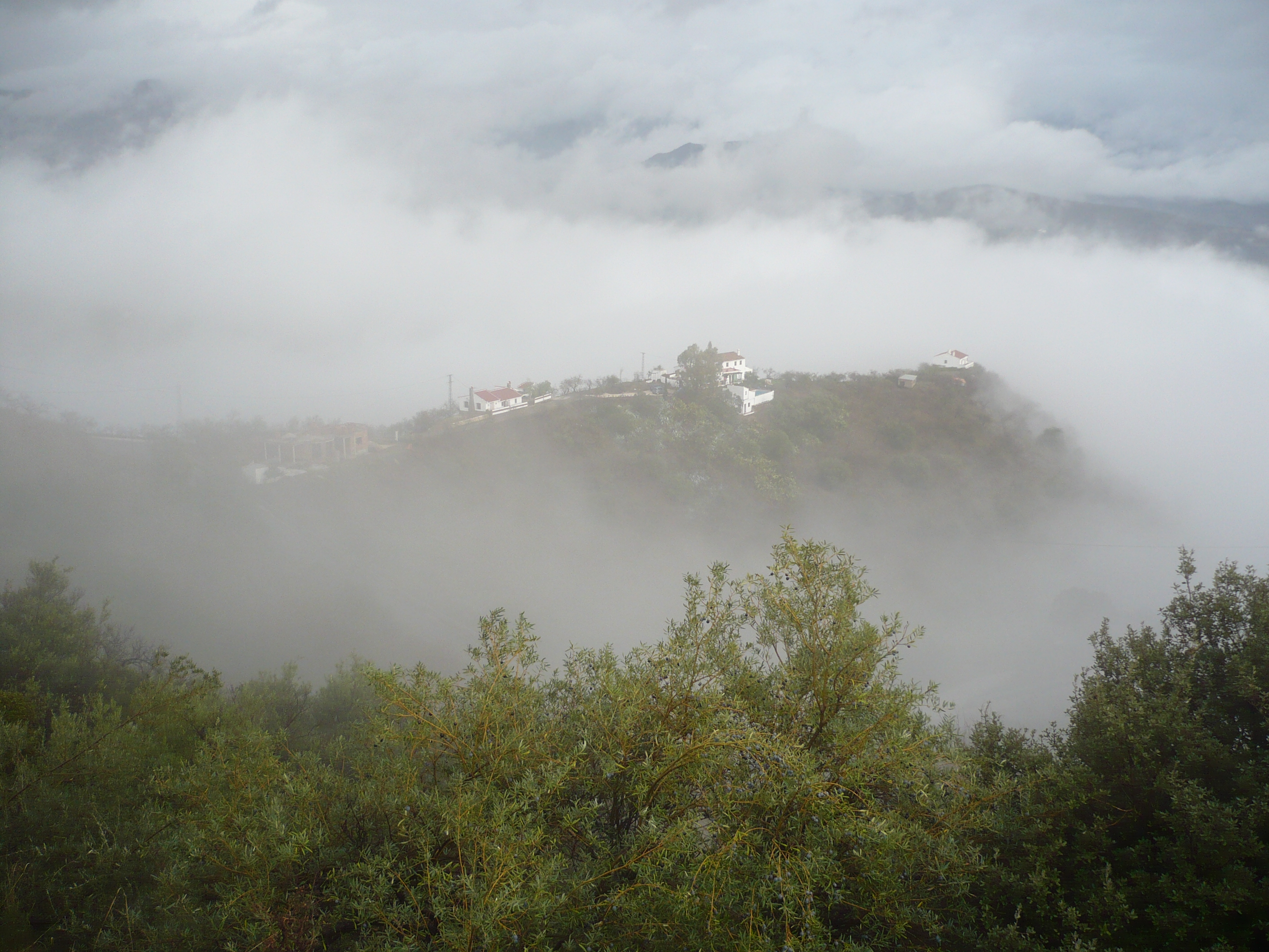 осень