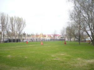 P1040925