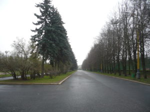 P1050015