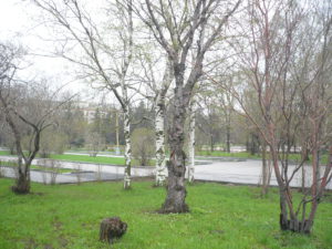 P1050025