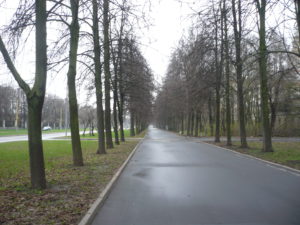 P1050035