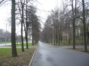P1050036