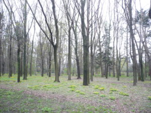 P1050047