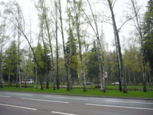 P1050050