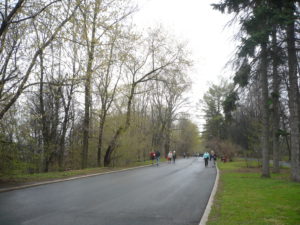 P1050077